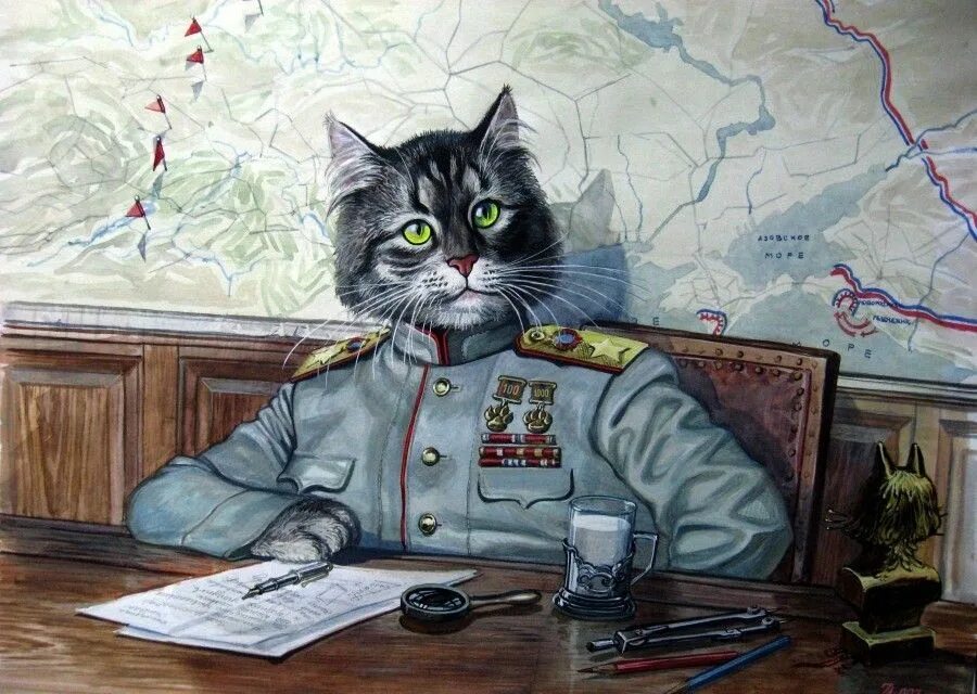 Army cat