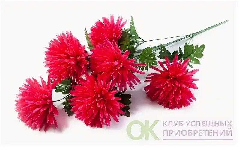 Хризантемы татьяны ковтун