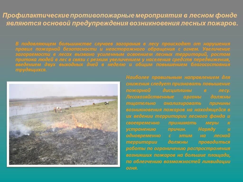 Меры по предупреждению лесных пожаров. Профилактика тушения пожаров сообщение. Лесные пожары презентация. Предупреждение лесных и торфяных пожаров. Профилактика тушения лесных пожаров сообщение по химии.