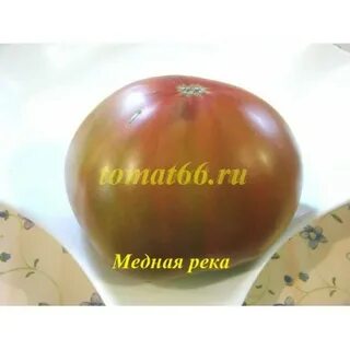Река томат