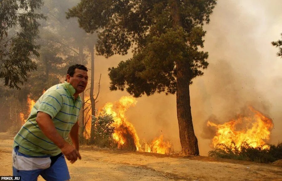 Fires people. Лес в огне. Человек и пожар в лесу. Человек в горящем лесу. Пожары.