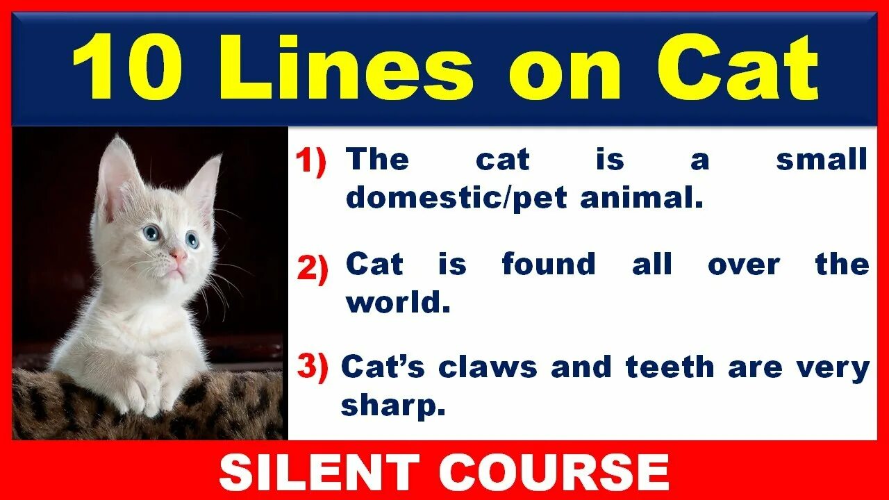Белая кошка по английски. Экзамен Кэт по английскому. Cat in English. Cats essay. My favourite Pet is a Cat
