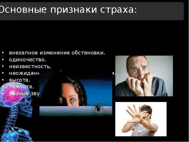 Список страхов. 3 главных страха. Виды страха. Виды страха. Причины фобий.