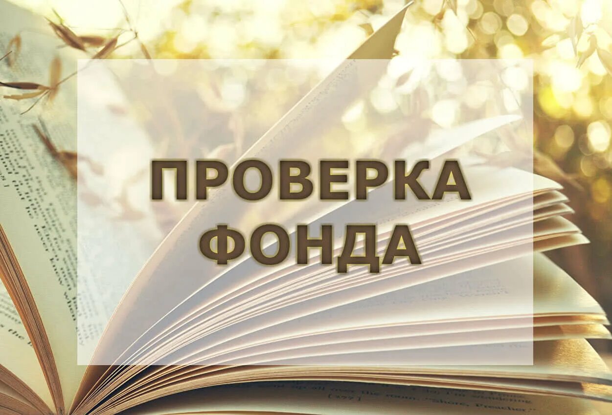 Проверка книжного фонда. Ревизия в библиотеке. Проверка фондов библиотеки. Проверка в библиотеке. Инвентаризация библиотеки