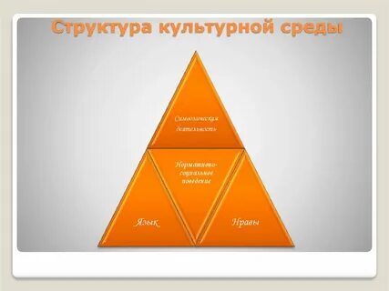 Социальная культура структура