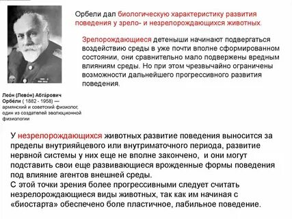Феномен орбели гинецинского