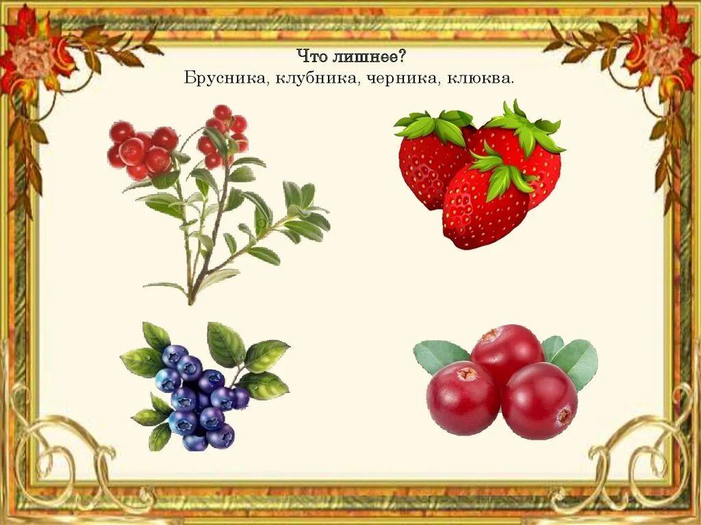 Лесные ягоды для дошкольников. Четвертый лишний на тему ягоды. Четвертый лишний ягоды. Четвертый лишний цветы для дошкольников. Дидактическая игра ягоды.