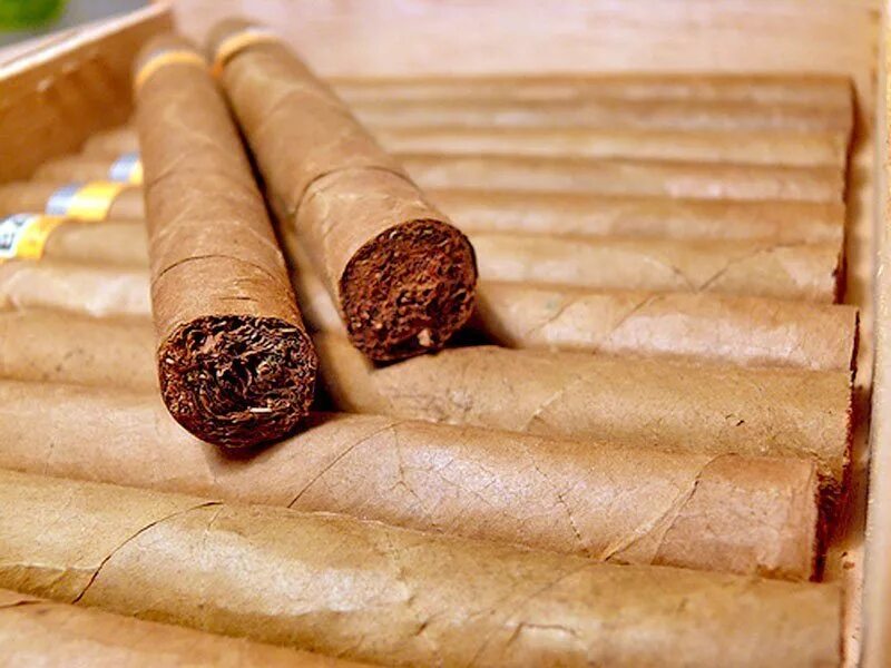 Tobacco stories. Tobacco in england. Story about smoking at the back of the. Tobacco stories. Табачный лист для самокруток.