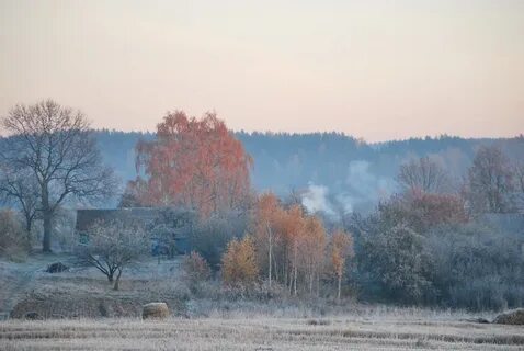 Село ноябрь