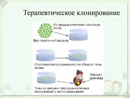 Клонирование карт