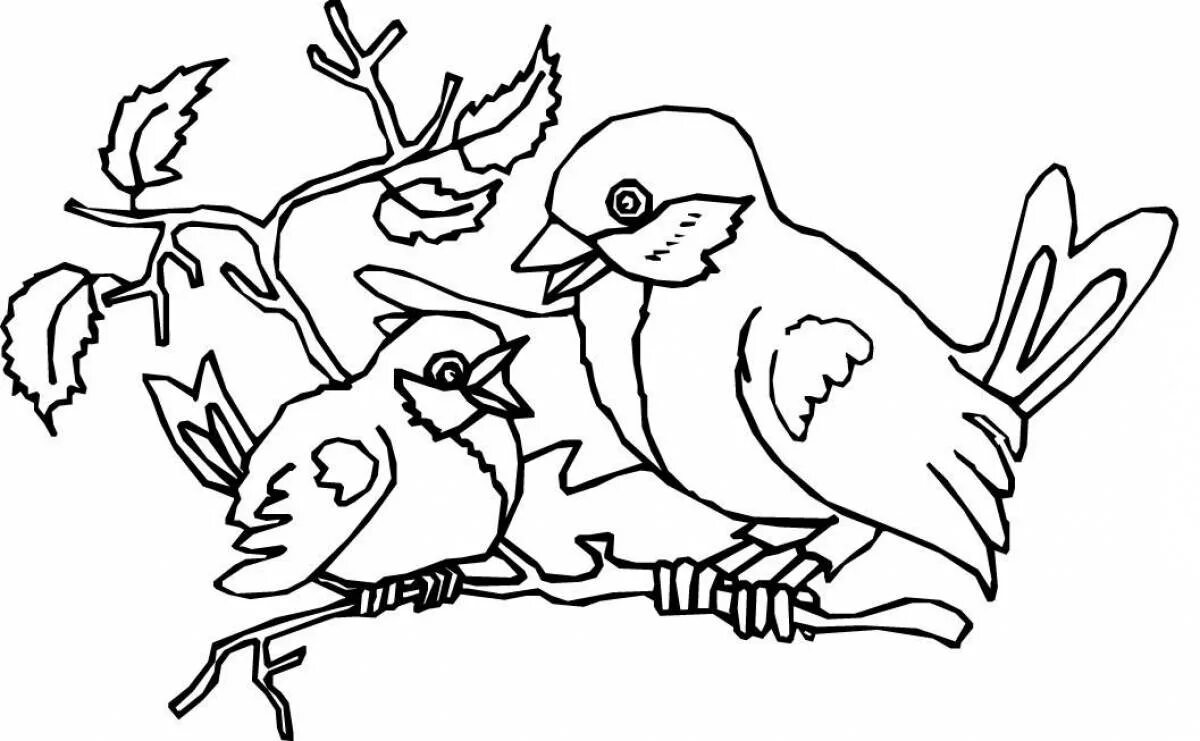 Распечатать картинку птицы для детей. Птицы. Раскраска. Птичка раскраска. Птицы раскраска для детей. Воробей раскраска.