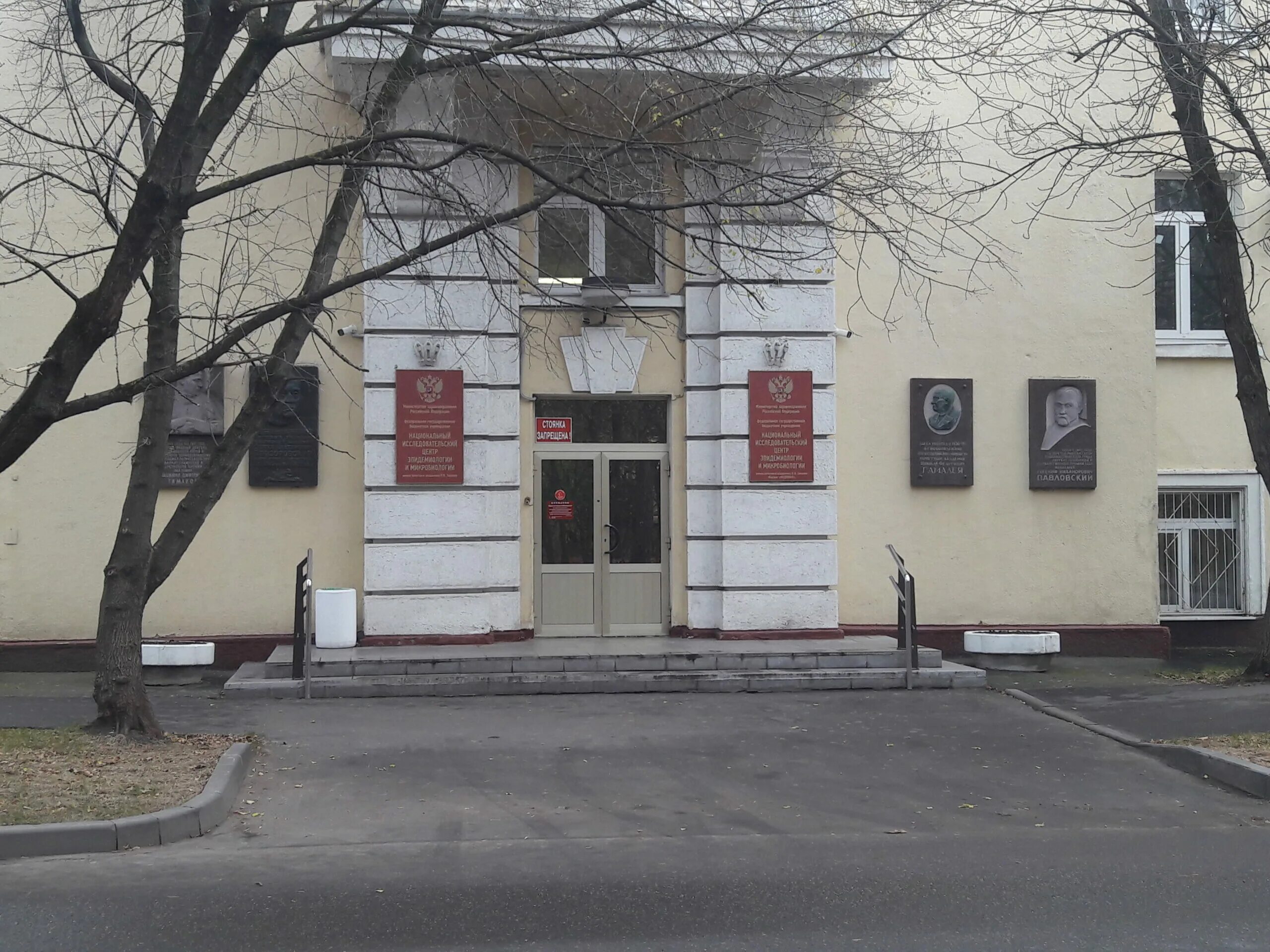 Национальный институт гамалеи. Национальный институт гамалеи. Центр имени н. Гамалеи. Ф.
