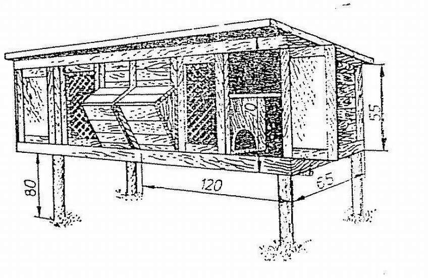 Чертежи клеток для крольчатника. Клетка для кроликов с маточником Золотухина. Размер клетки для крольчихи с крольчатами. Схема кроличьей клетки. Фото чертежей клеток для кроликов