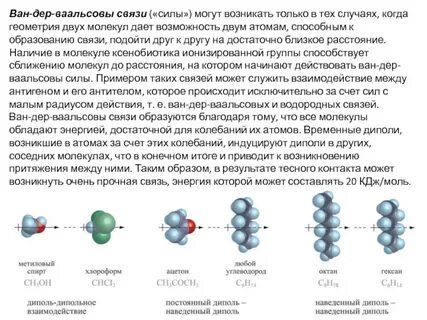 Силы взаимодействия между атомами молекулами