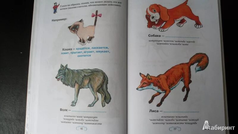 Домашние животные шалаева книга. Шалаева домашние животные.