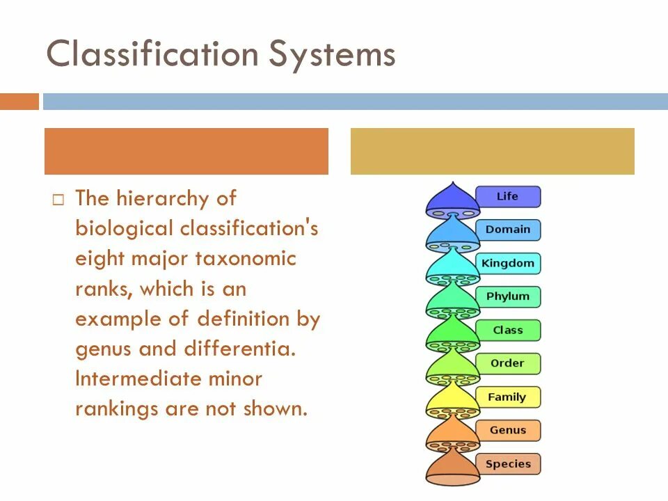 Classification examples. Biological classification. taxonomic classification. taxonomic ranks in the hierarchical classification system. biological systematics.