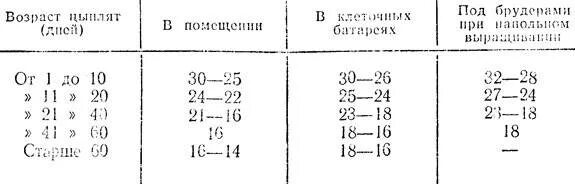 Температурный режим для цыплят несушек таблица. Температурная таблица для цыплят бройлеров в брудере. Температурный режим для цыплят несушек. Температура в брудере для цыплят таблица несушек.