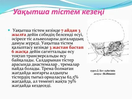 Уақытша жер