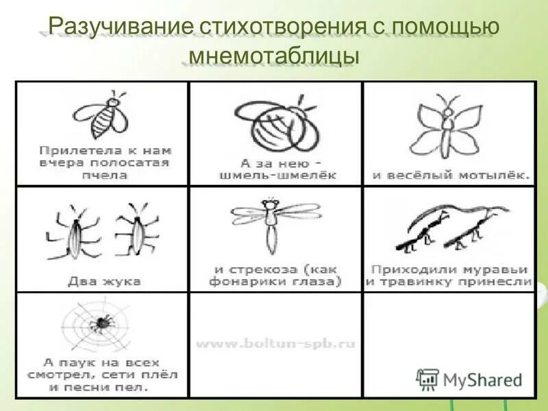 Конспект насекомые старшая группа. Мнемотаблицы насекомые для дошкольников. Схема составления описательного рассказа о насекомом. Мнемотаблица про насекомых для дошкольников. Схема для рассказа о насекомых.