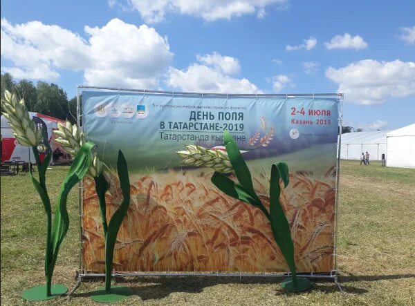 День поле 2018 казань. День поля казань. День поля. День поля казань. День поля оформление.