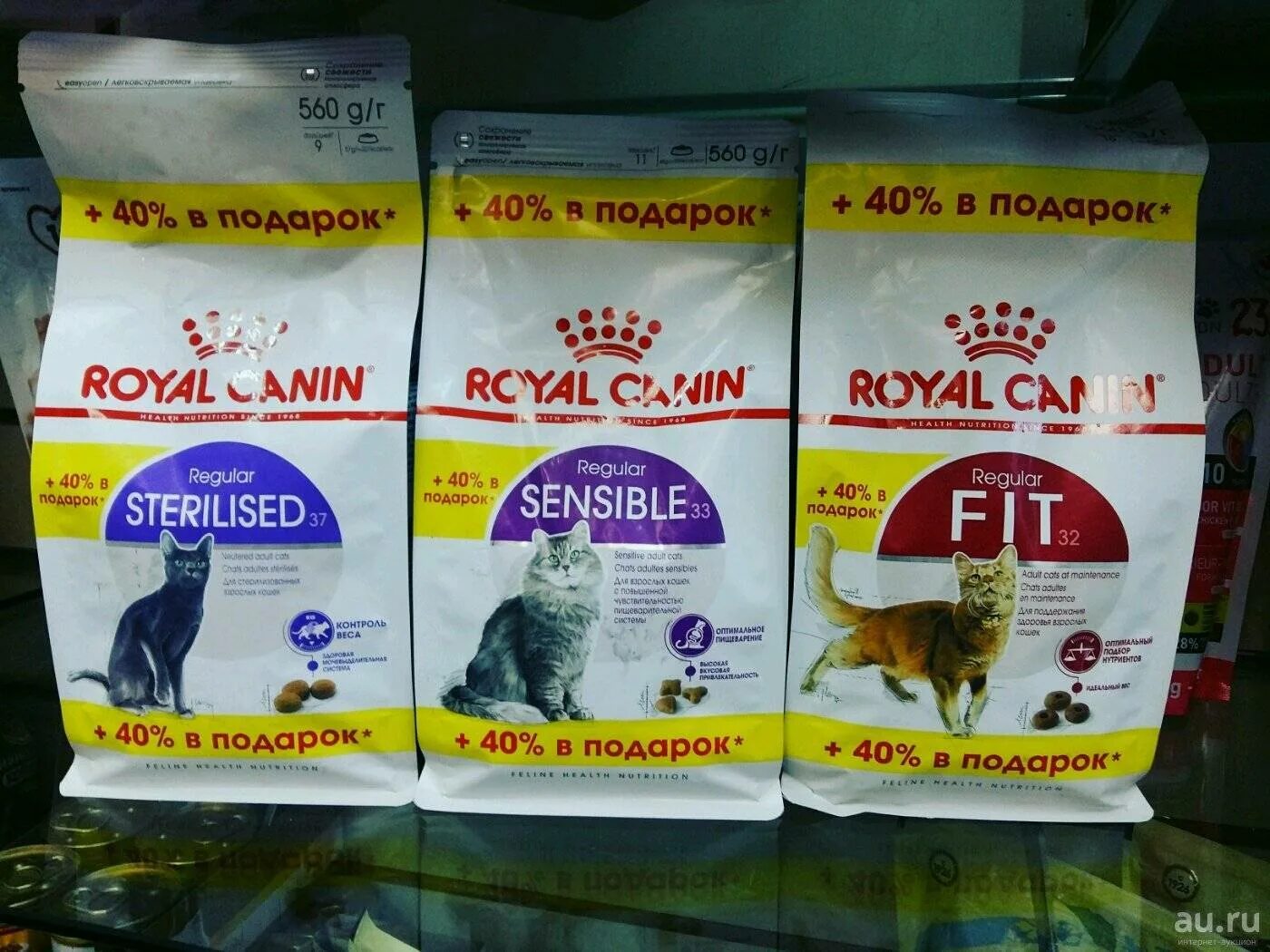 Royal Canin. Корм для кошек вид корма. Гипоаллергенный корм для кошек. Гипоаллергенные корма для котов. Корм для кота для шерсти. Какой сухой корм лучше для котов