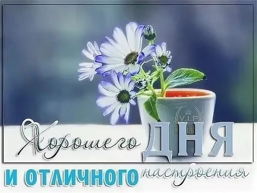 Доброе утро и отличного четверга. Открытки с добрым утром. пожелания доброго утра. открытки с добрым утром четверга. открытки четверг добрый день.