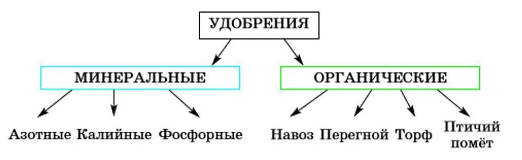 Схема удобрения 6 класс биология. Схема виды удобрений биология 6 класс. Схема классификации удобрений биология 6 класс. Схема удобрения органические и Минеральные. И т д и минеральных