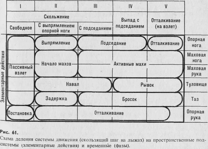 Структура движения жизнь. Фазовая структура двигательного действия. состав системы движений. структура системы движений. фазовая структура движений руками.