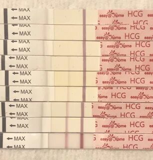 HCG Tesy Progression