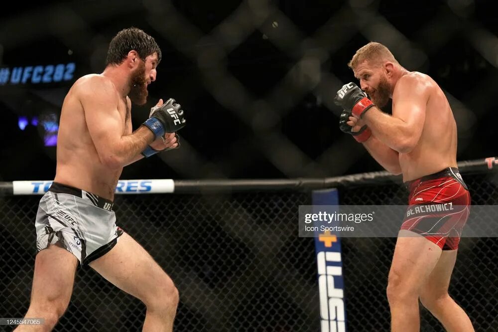 Магомед анкалаев ufc. Магомед анкалаев. Магомед анкалаев боец. Последний бой анкалаева магомеда 2024. Магомед анкалаев ufc.