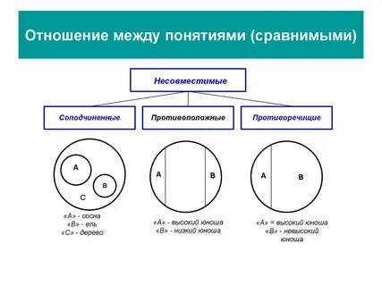 Соотнеси понятия с изображениями