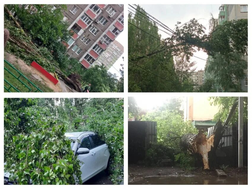 Ураган в Воронеже. Ураган в Воронеже сейчас. Упало дерево на крышу дома. Смерч в Воронеже.