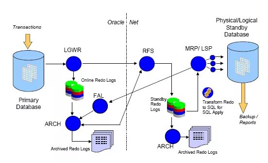 Oracle data guard. Схема oracle. стендбай схемы. oracle dba. database administrator.