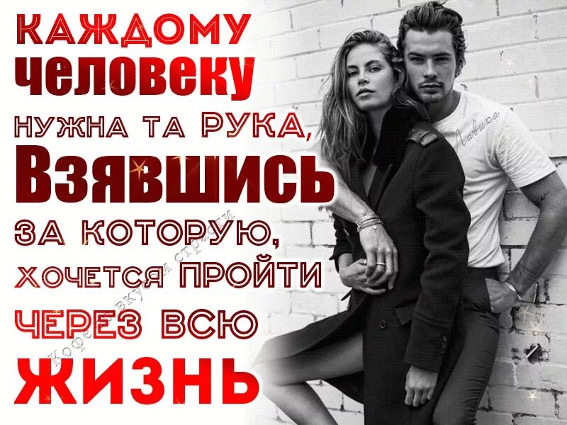 Человеку нужен человек speed up. Каждому человеку нужен человек. каждому человеку нужен свой человек. человек который хочет быть рядом. рядом нужен человек.