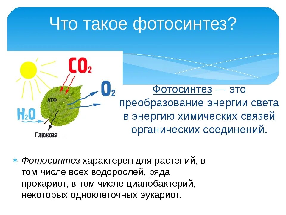 Химическая формула фотосинтеза растений. Процесс фотосинтеза 6 класс. Что такое фотосинтез в химии 8 класс. Процесс фотосинтеза у растений 9 класс.