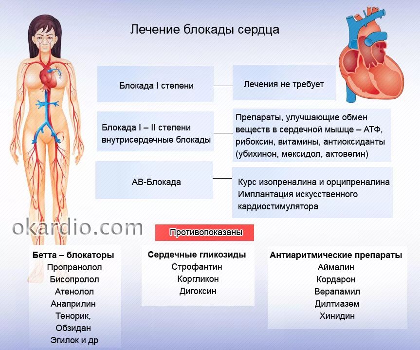 Блокада сердца это опасно. Блокада сердца симптомы. Препараты терапии внутрисердечных блокад. Терапия при блокаде сердца. Блокады сердца клинические проявления.