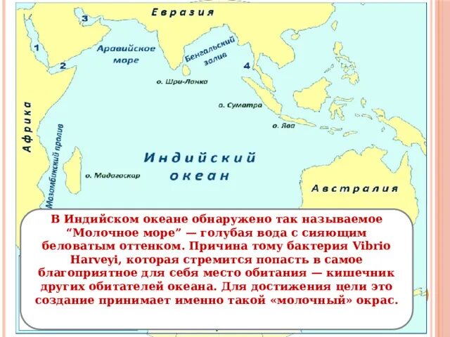 Почему океан великий. Моря индийского океана список. Почему индийский океан является самым соленым. Молочное море в индийском океане на карте. Почему индийский океан не в Индии.