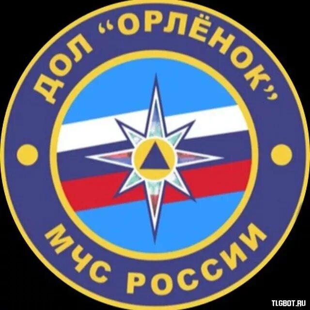 Дол орленок мчс. Дол орлёнок МЧС России. Дол Орленок Звенигород МЧС. Орленок МЧС. Лагерь МЧС Орленок.