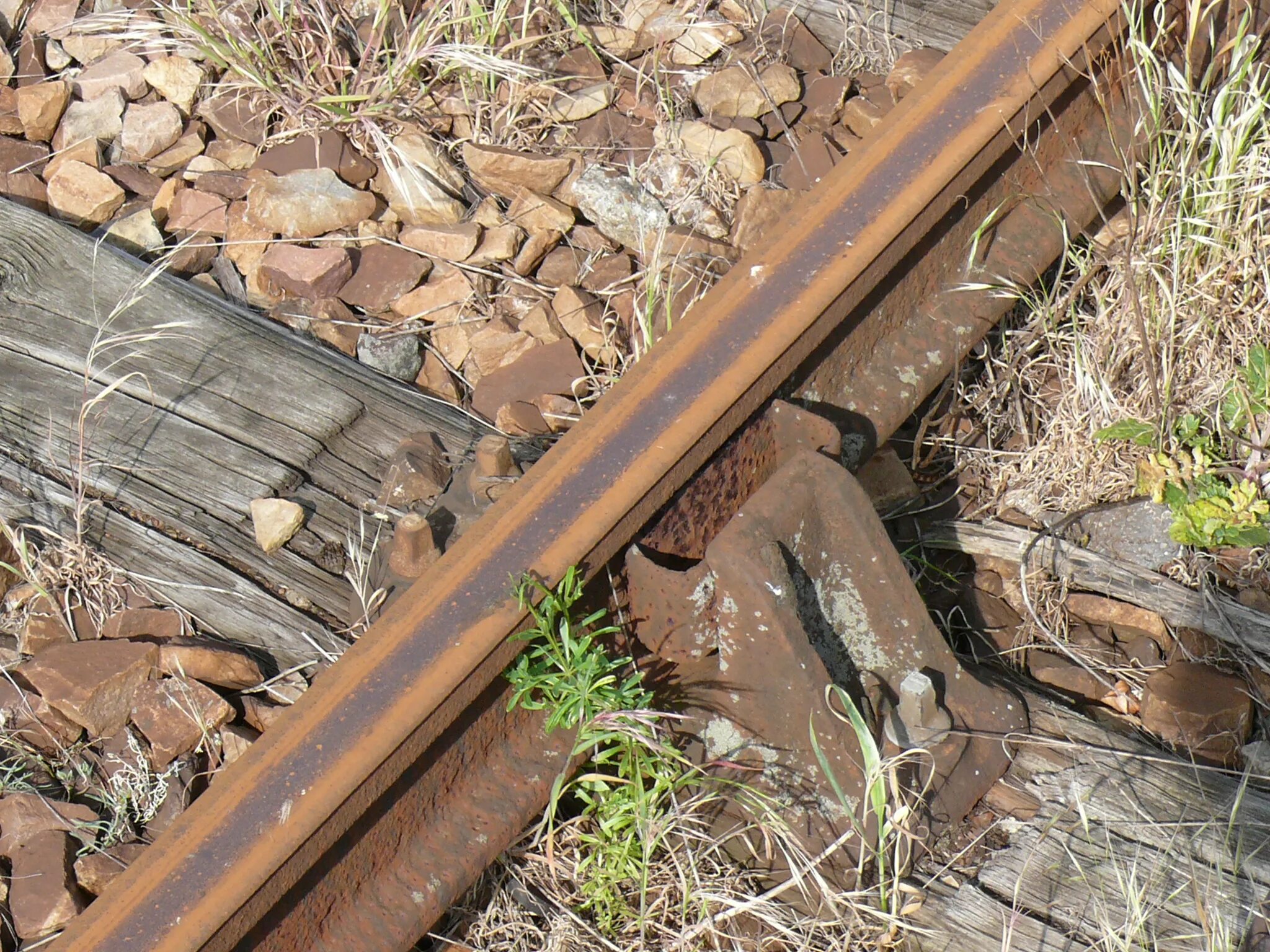 Rails wiki