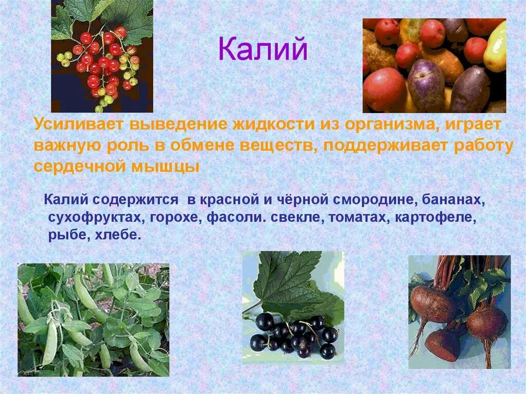 Как вывести калий. Вывод калия из организма. выведение калия из организма. калий и вывод жидкости из организма. выводят калий из организма.