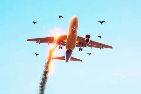 Покажи видео самолетов