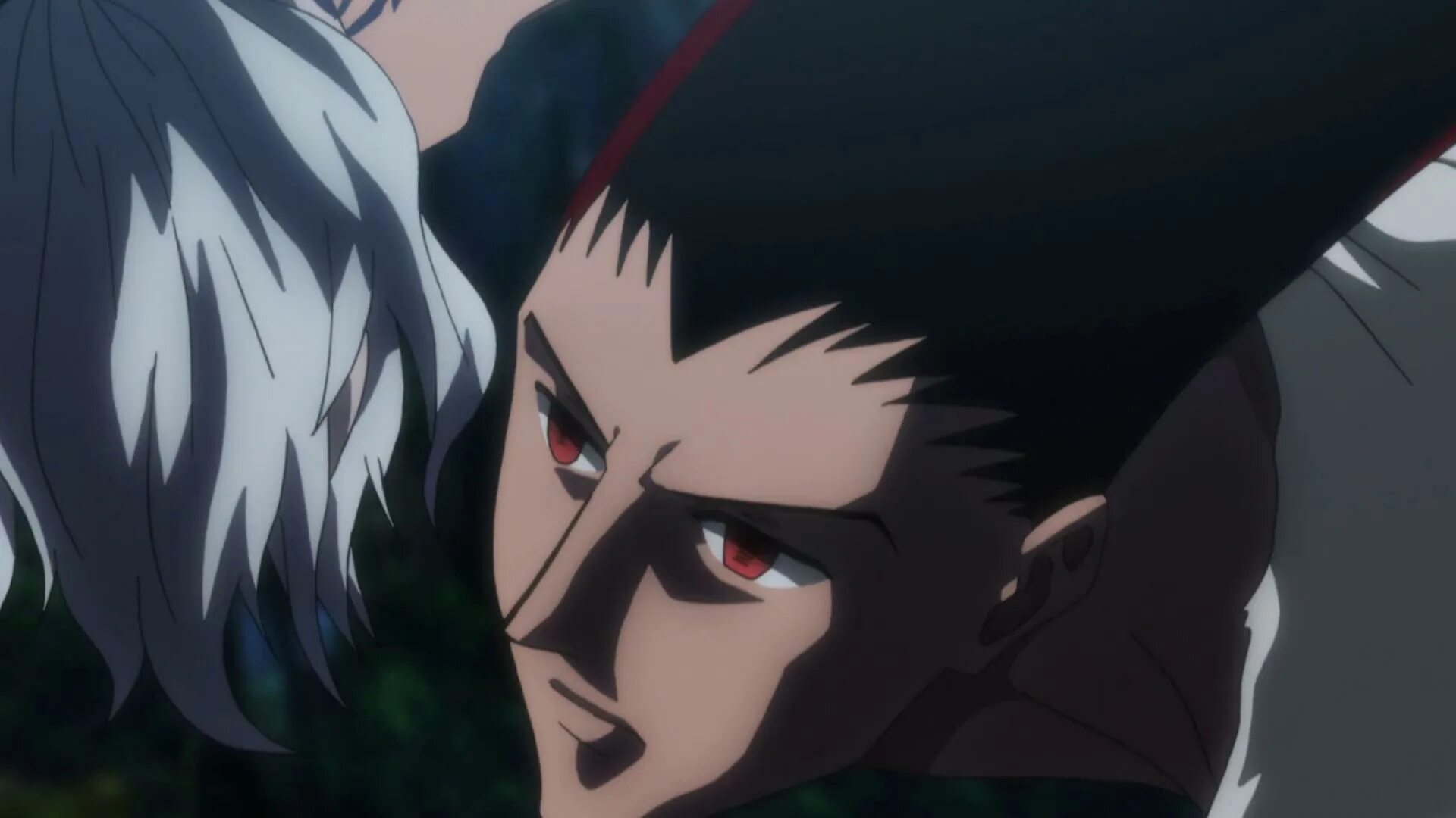 Hunter 18. Зазан хантер хантер. hunter x hunter zazan. hunter x hunter 2011 gon трансформация. зазан hunter x hunter 18.