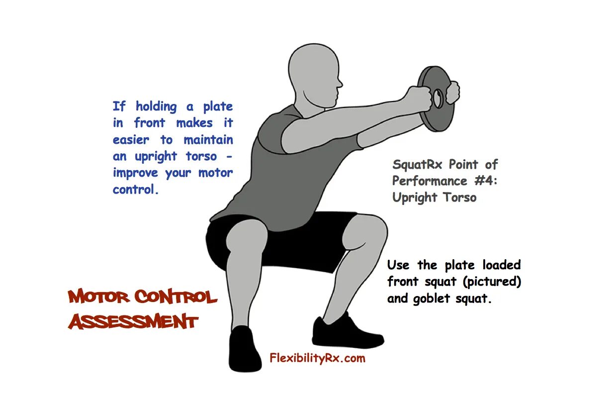 Call me for squats. Squat перевод. meaning of the squat. squatter перевод. goblin squats.