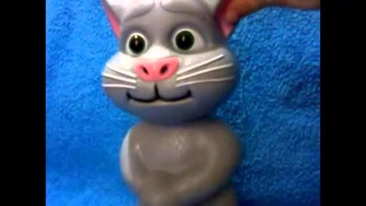 Говорящий кот повторяла. Говорящий кот том игрушка. говорящий том игрушка повторюшка. повторим с котиком. кот том игрушка повторюшка с телефоном.