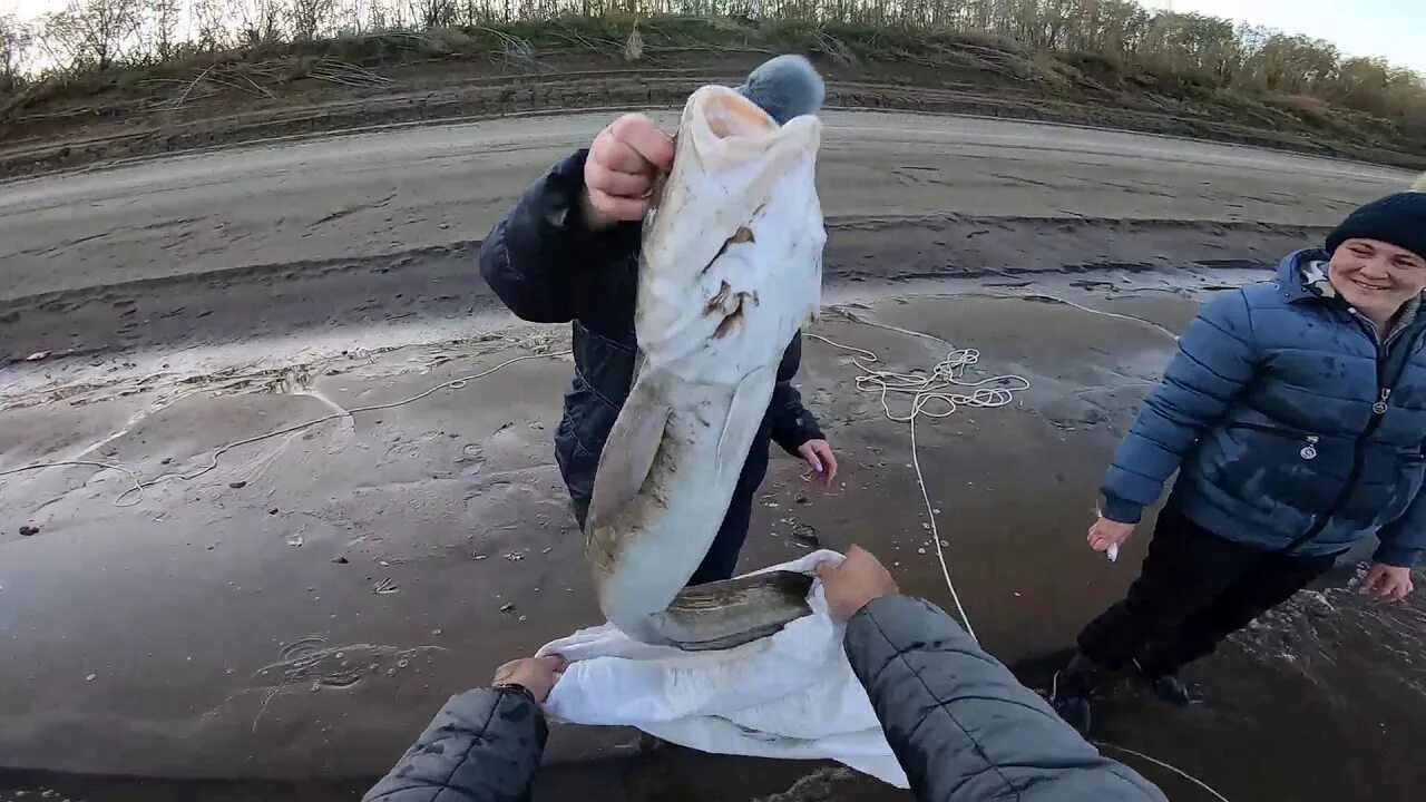 Рыба в луже. Это не диалоги о рыбалке последнее. Это не диалоги о рыбалке. Не диалоги о рыбалке последние съемки.