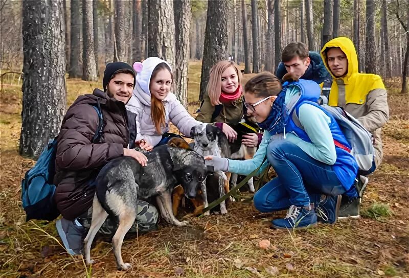 K-9, animal breeder, Russia, Irkutsk, Karpinskaya ulitsa, 125 - Yandex Maps