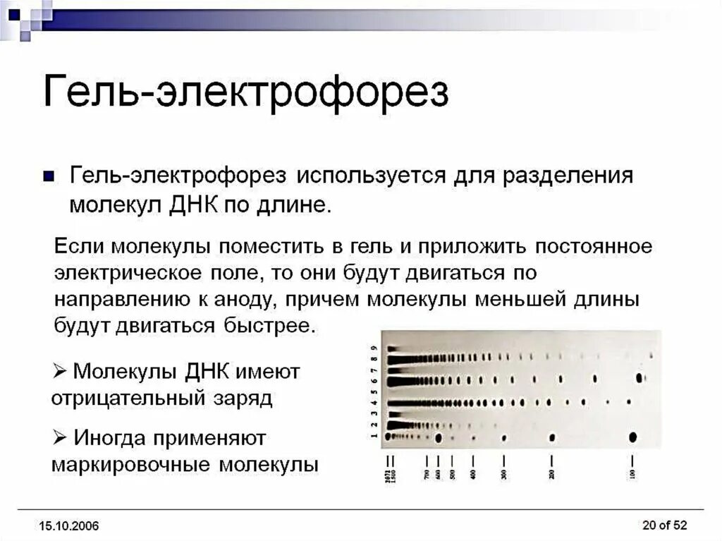 Метод разделения днк