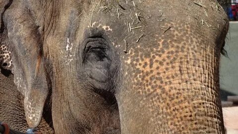 Big close