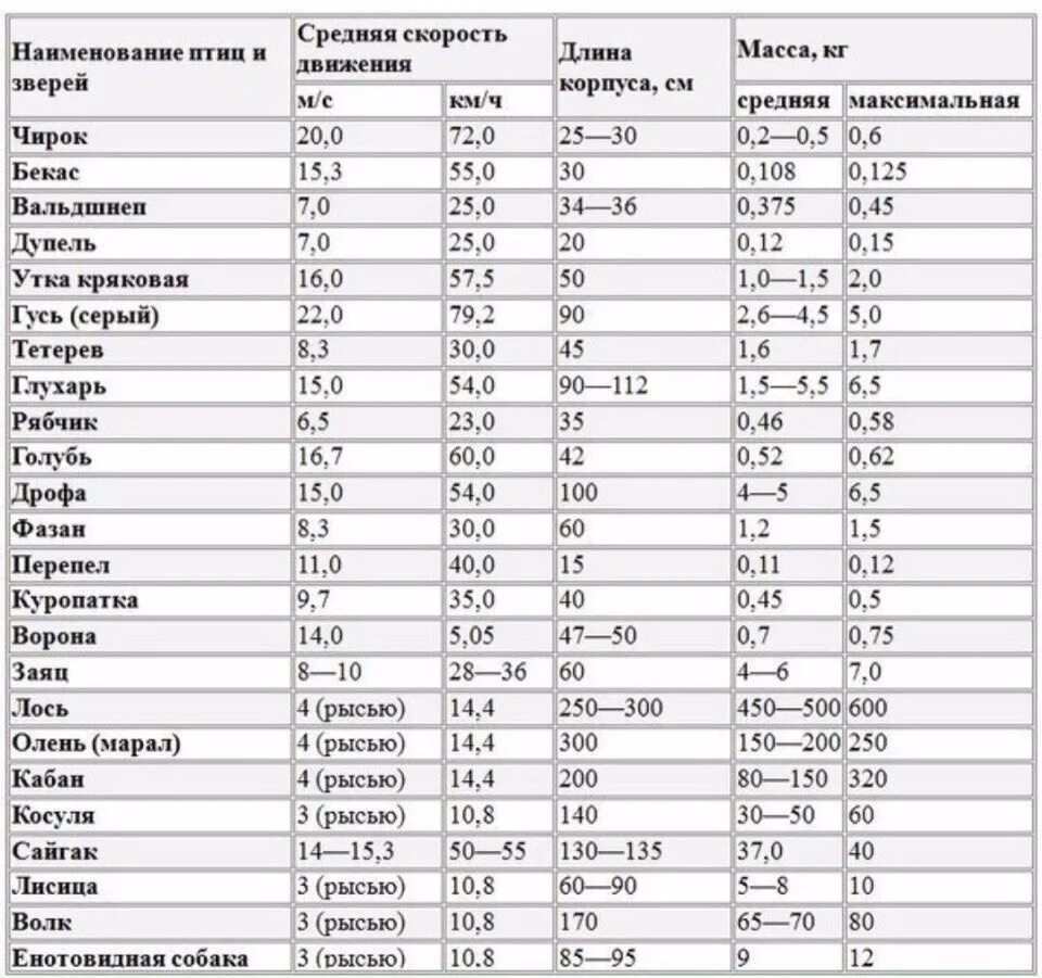 Скорость полета гуся. Скорость птиц таблица. Скорость полёта птиц таблица. Средняя скорость полета птицы. Скорость полета утки.