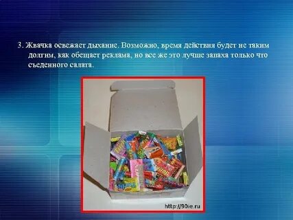 Сколько разлагается жевательная резинка